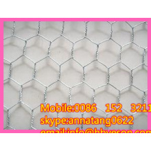 3/4 &quot;electro galvanizado alambre hexagonal redes de malla de alambre de pollo